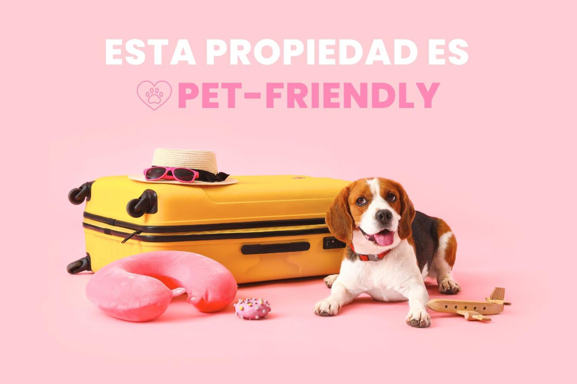 Apartamento Precioso En Frente A Pistas *